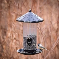 Frisco Acorn Wild Bird Feeder -Frisco Shop 333243 PT4. AC SS1800 V1646665034