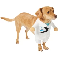 Frisco Front Walking Doctor Dog & Cat Costume -Frisco Shop 334900 PT3. AC SS1800 V1658344549