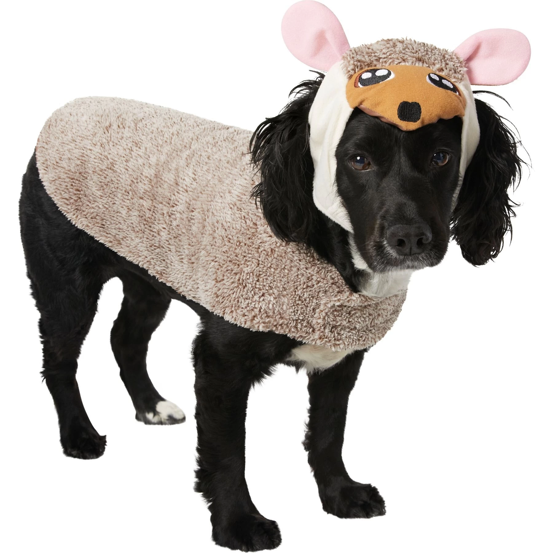 Frisco Hedgehog Dog & Cat Costume 1 Frisco Hedgehog Dog & Cat Costume