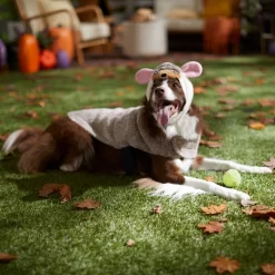 Frisco Hedgehog Dog & Cat Costume 12 Frisco Hedgehog Dog & Cat Costume -Frisco Shop 334990 PT7. AC SS1800 V1657732628