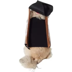 Frisco Pirate Ship Dog & Cat Costume -Frisco Shop 335078 PT3. AC SS1800 V1658346172