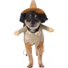 Frisco Front Walking Scarecrow Dog & Cat Costume