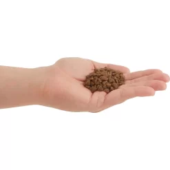 ACANA First Feast High-Protein Kitten Dry Cat Food, 4-lb Bag & Frisco Multi-Cat Unscented Clumping Clay Cat Litter -Frisco Shop 338643 PT3. AC SS1800 V1635909934