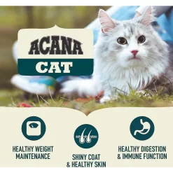 ACANA First Feast High-Protein Kitten Dry Cat Food, 4-lb Bag & Frisco Multi-Cat Unscented Clumping Clay Cat Litter -Frisco Shop 338643 PT4. AC SS1800 V1635899904