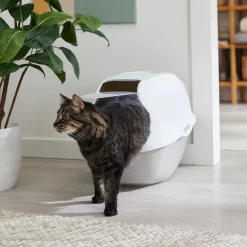 Frisco Modern Hooded Cat Litter Box
