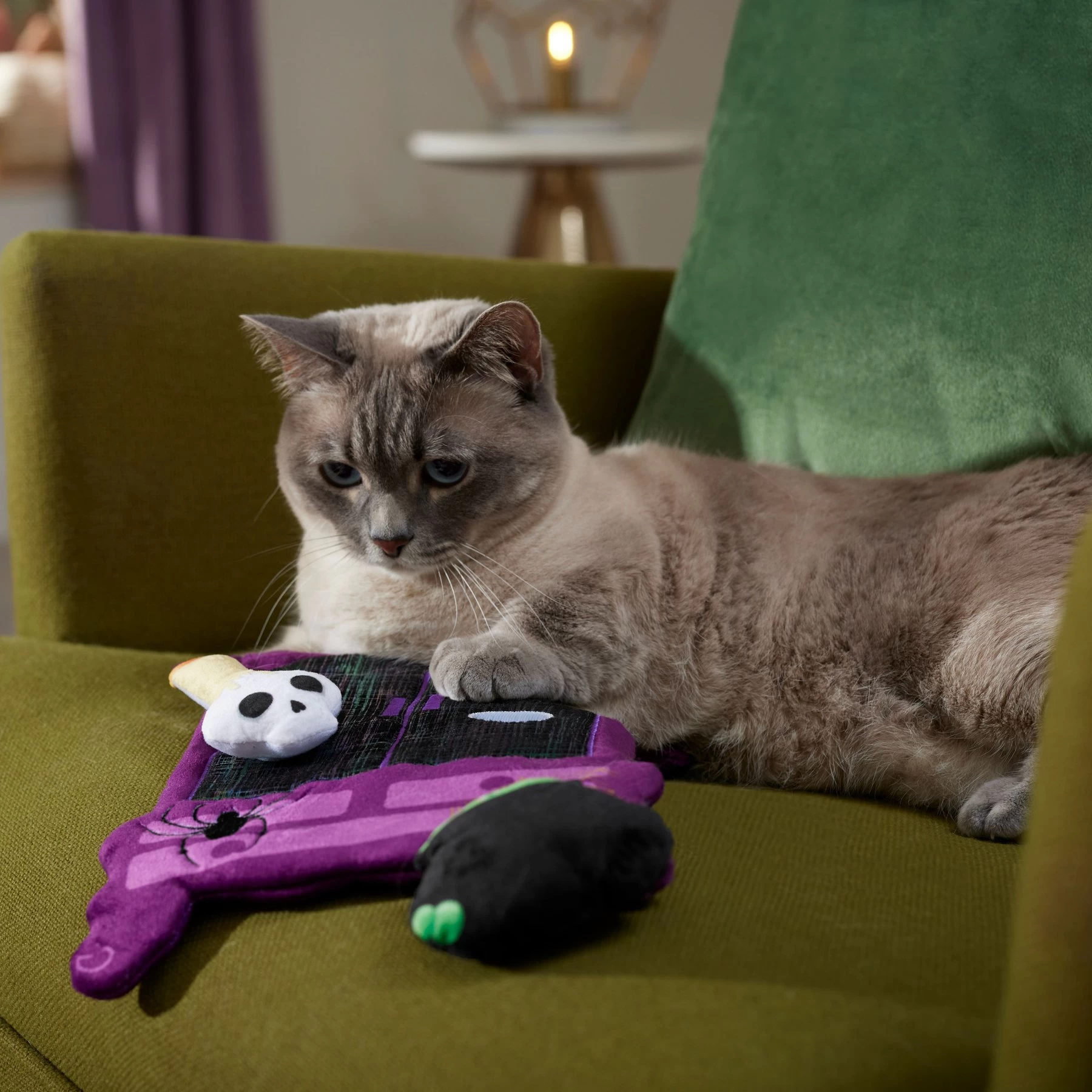 Frisco Halloween Magical Wardrobe Interactive Plush Cat Toy With Catnip 3 Frisco Halloween Magical Wardrobe Interactive Plush Cat Toy With Catnip - Image 3