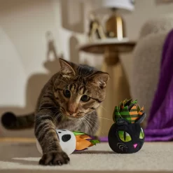 Frisco Halloween Succulents Plush Cat Toy With Catnip, 2 Count 6 Frisco Halloween Succulents Plush Cat Toy With Catnip, 2 Count -Frisco Shop 344082 PT3. AC SS1800 V1657657035