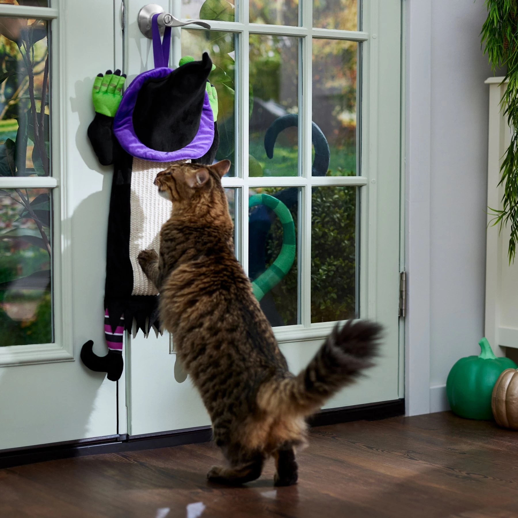 Frisco Halloween Witch Doorknob Hanger Cat Toy With Catnip 4 Frisco Halloween Witch Doorknob Hanger Cat Toy With Catnip - Image 4