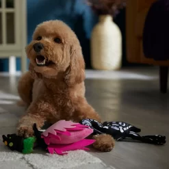 Frisco Halloween Flamingo Plush Squeaky Dog Toy 6 Frisco Halloween Flamingo Plush Squeaky Dog Toy -Frisco Shop 344123 PT3. AC SS1800 V1657657035