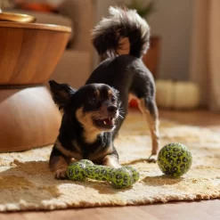 Frisco Halloween Glow In The Dark TPR Squeaky Bone & Ball Dog Toy 9 Frisco Halloween Glow In The Dark TPR Squeaky Bone & Ball Dog Toy -Frisco Shop 344130 PT3. AC SS1800 V1657657042