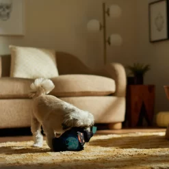 Frisco Halloween Lantern Ballistic Nylon Plush Squeaky Dog Toy 7 Frisco Halloween Lantern Ballistic Nylon Plush Squeaky Dog Toy -Frisco Shop 344138 PT3. AC SS1800 V1657657042