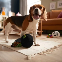 Frisco Halloween Succulents Plush Squeaky Dog Toy -Frisco Shop 344164 PT3. AC SS1800 V1657657049