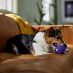 Frisco Halloween Vampire Latex Squeaky Dog Toy -Frisco Shop 344166 PT3. AC SS1800 V1657657049