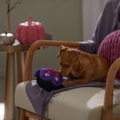 Frisco Halloween Vampire Round Plush Squeaky Dog Toy -Frisco Shop 344168 PT3. AC SS1800 V1657657049