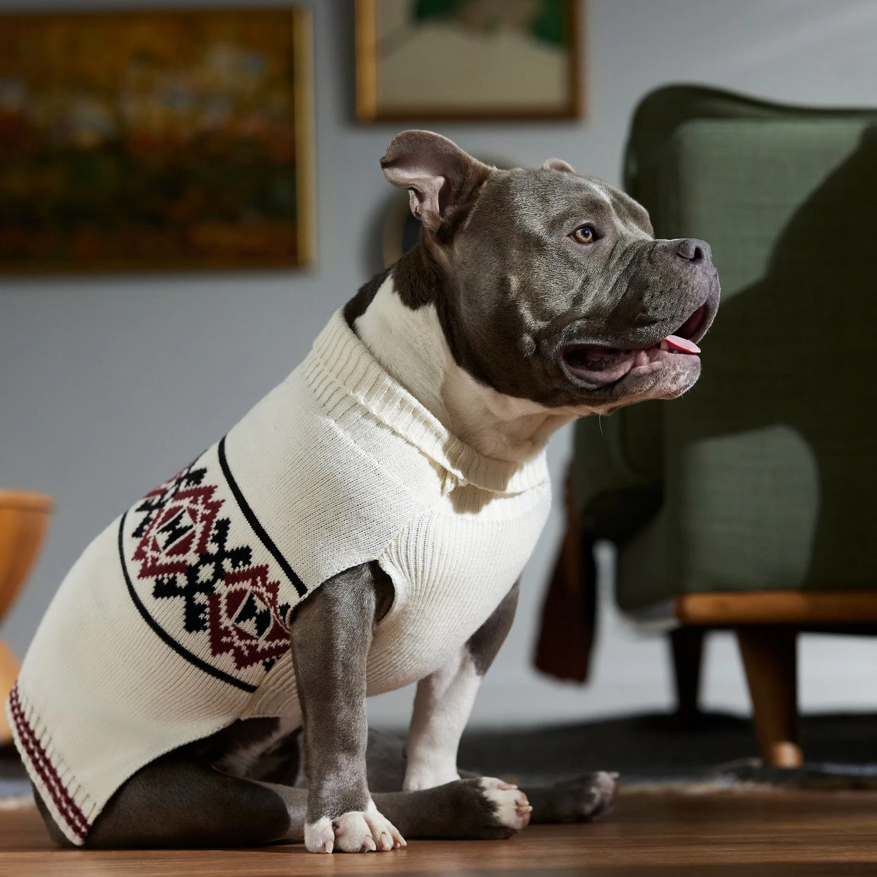 Frisco Geometric Pattern Dog & Cat Sweater 7 Frisco Geometric Pattern Dog & Cat Sweater - Image 7