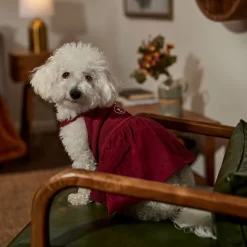 Frisco Sleepy Face Dog & Cat Dress -Frisco Shop 353657 PT6. AC SS1800 V1660750164