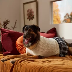 Frisco Plaid Dog & Cat Sweater Dress -Frisco Shop 353673 PT7. AC SS1800 V1660750173