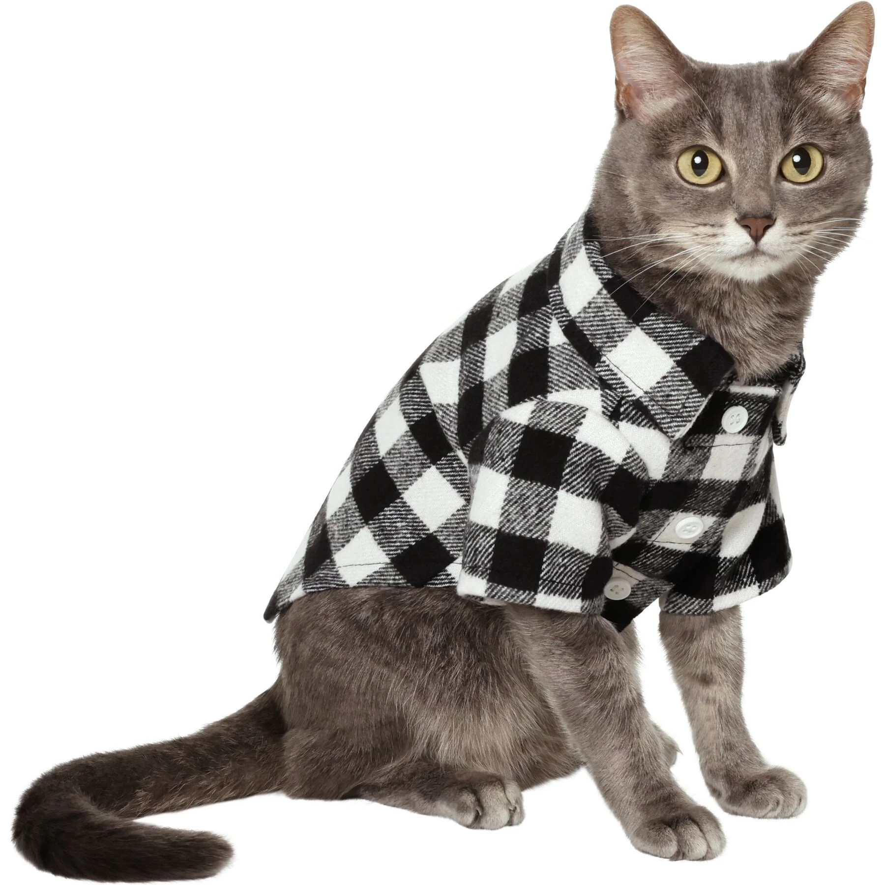 Frisco Black Plaid Dog & Cat Shirt 1 Frisco Black Plaid Dog & Cat Shirt