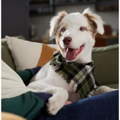 Frisco Plaid Fringe Dog & Cat Bandana -Frisco Shop 353769 PT6. AC SS1800 V1660749811