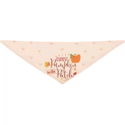 Frisco Cutest Pumpkin In The Patch Dog & Cat Bandana -Frisco Shop 353777 PT5. AC SS1800 V1659725687