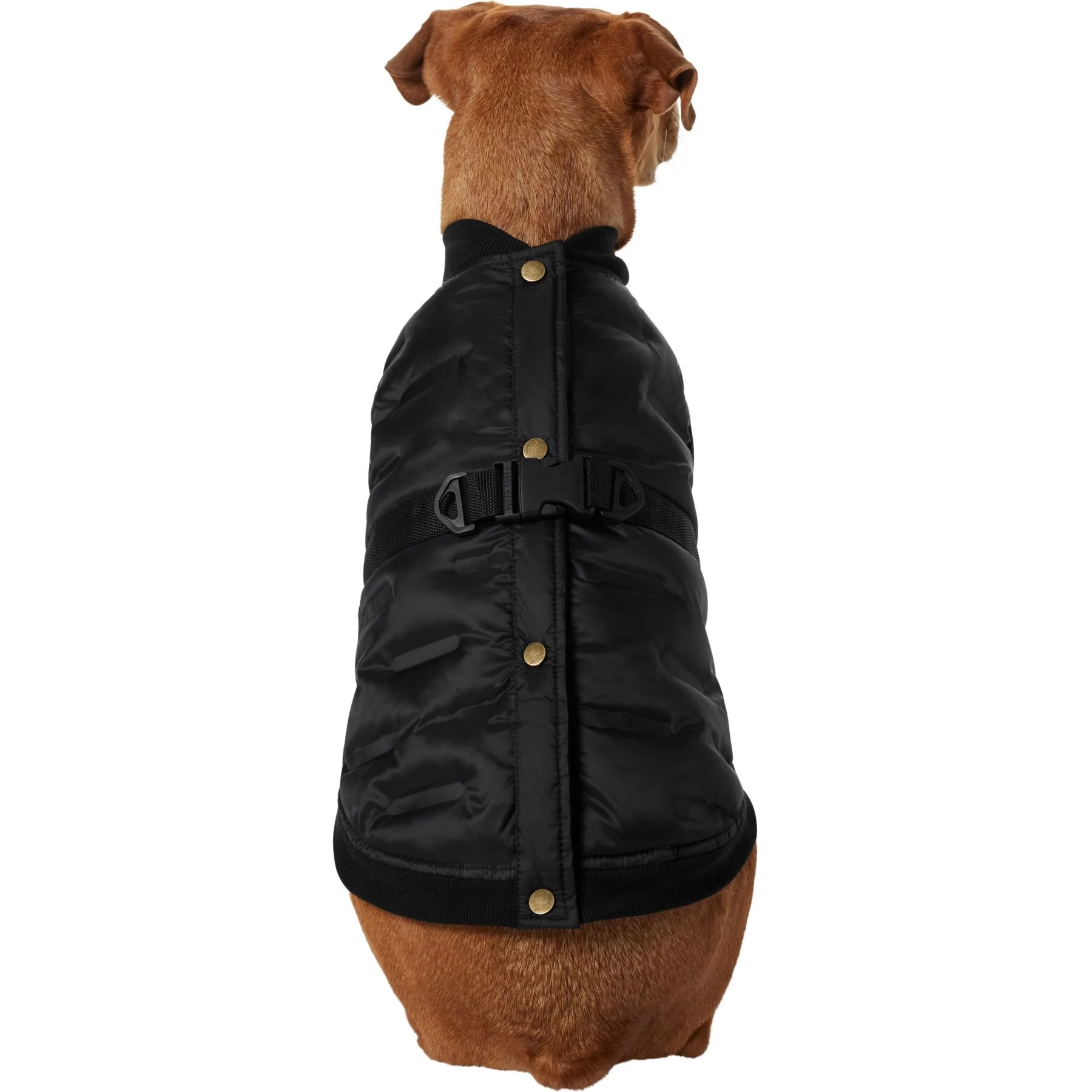 Frisco Lightweight Belted Puffer Dog & Cat Jacket 3 Frisco Lightweight Belted Puffer Dog & Cat Jacket - Image 3
