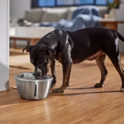 Frisco Stainless Steel Heart Dog & Cat Fountain -Frisco Shop 355816 PT5. AC SS1800 V1665684540