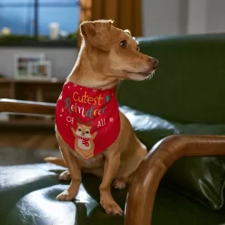 Frisco Cutest Reindeer Of All Dog & Cat Bandana 14 Frisco Cutest Reindeer Of All Dog & Cat Bandana -Frisco Shop 357931 PT6. AC SS1800 V1661798487