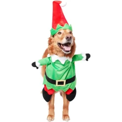 Frisco Front Walking Elf Dog & Cat Costume 12 Frisco Front Walking Elf Dog & Cat Costume -Frisco Shop 357956 PT3. AC SS1800 V1660760416