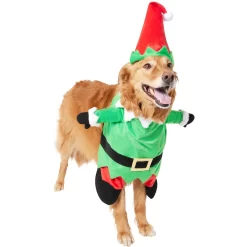 Frisco Front Walking Elf Dog & Cat Costume 13 Frisco Front Walking Elf Dog & Cat Costume -Frisco Shop 357956 PT4. AC SS1800 V1660757458