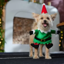 Frisco Front Walking Elf Dog & Cat Costume 16 Frisco Front Walking Elf Dog & Cat Costume -Frisco Shop 357956 PT7. AC SS1800 V1661799329