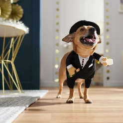 Frisco Front Walking New Years Tuxedo Dog & Cat Costume -Frisco Shop 358028 PT7. AC SS1800 V1661799888