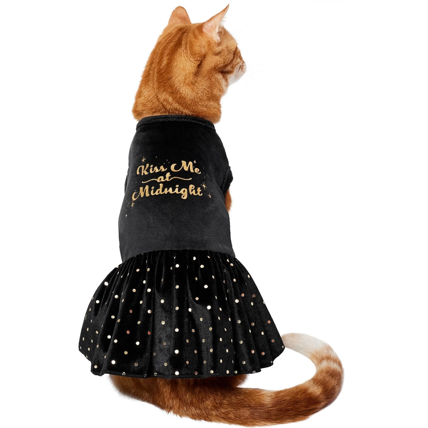 Frisco Kiss Me At Midnight Dog & Cat Dress 1 Frisco Kiss Me At Midnight Dog & Cat Dress