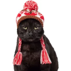 Frisco Reindeer Fair Isle Dog & Cat Pom Hat 8 Frisco Reindeer Fair Isle Dog & Cat Pom Hat -Frisco Shop 358309 PT2. AC SS1800 V1660764825