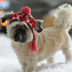 Frisco Reindeer Fair Isle Dog & Cat Pom Hat 10 Frisco Reindeer Fair Isle Dog & Cat Pom Hat -Frisco Shop 358309 PT4. AC SS1800 V1661797821