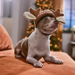 Frisco Antler Fair Isle Dog & Cat Hat -Frisco Shop 358313 PT4. AC SS1800 V1661798696