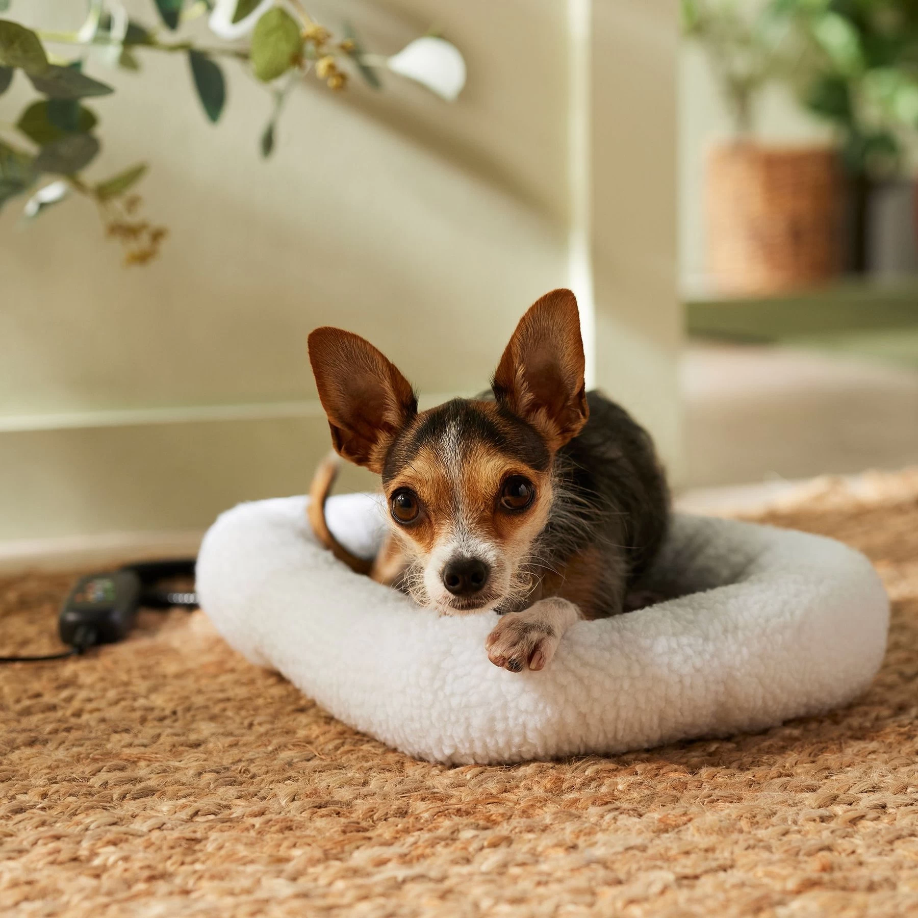 Frisco Adjustable Electrical Dog & Cat Heated Crate Mat With Timer 1 Frisco Adjustable Electrical Dog & Cat Heated Crate Mat With Timer