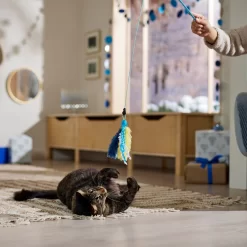 Frisco Hanukkah Interchangeable Teaser Wand Cat Toy With Catnip 6 Frisco Hanukkah Interchangeable Teaser Wand Cat Toy With Catnip -Frisco Shop 360911 PT3. AC SS1800 V1661890134