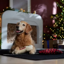 Frisco Holiday "Happy Pawlidays" Bone Plush Squeaky Dog Toy, Medium, 2 Count -Frisco Shop 360942 PT3. AC SS1800 V1661874360