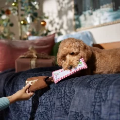 Frisco Holiday Home For The Holidays Airline Ticket Bungee Plush Squeaky Dog Toy 9 Frisco Holiday Home For The Holidays Airline Ticket Bungee Plush Squeaky Dog Toy -Frisco Shop 360966 PT3. AC SS1800 V1661874362