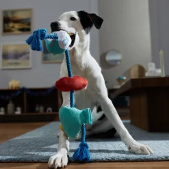 Frisco Hanukkah Celebration Plush With Rope Squeaky Dog Toy -Frisco Shop 360986 PT3. AC SS1800 V1661874063