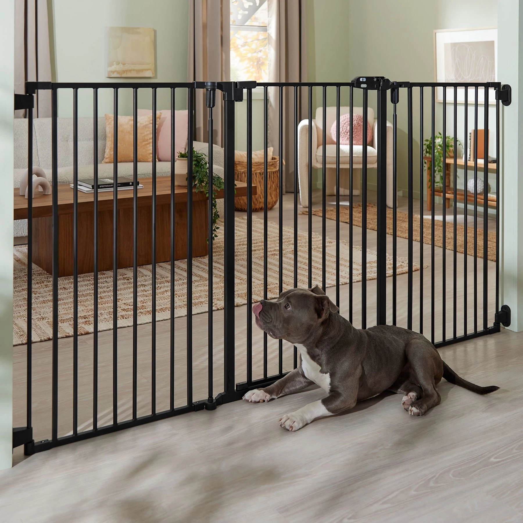 Frisco Steel 3-Panel Configurable Gate, 41-in Height 1 Frisco Steel 3-Panel Configurable Gate, 41-in Height