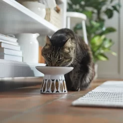 Frisco Cat Face Wide Shape Elevated Non-Skid Ceramic Cat Bowl -Frisco Shop 363381 PT3. AC SS1800 V1657657267