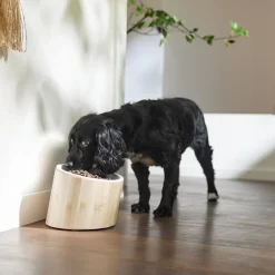 Frisco Elevated Slanted Bamboo Melamine Non-Skid Dog Bowl With Bamboo Stand -Frisco Shop 363387 PT2. AC SS1800 V1657657267