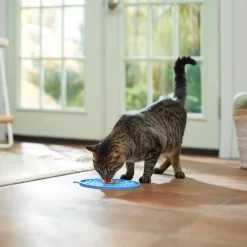 Frisco Non-skid Flower Silicone Dog & Cat Lick Mat, Blue 9 Frisco Non-skid Flower Silicone Dog & Cat Lick Mat, Blue -Frisco Shop 363393 PT3. AC SS1800 V1660750521