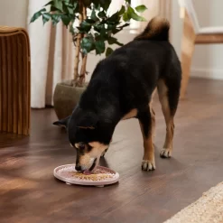 Frisco Silicone Dog & Cat Lick Mat With Suction Cups, Pink -Frisco Shop 363395 PT2. AC SS1800 V1660750521