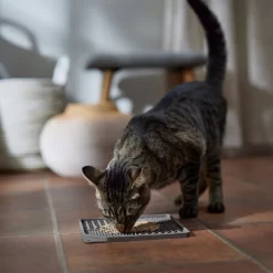 Frisco Non-skid Square Silicone Dog & Cat Lick Mat -Frisco Shop 363402 PT3. AC SS1800 V1665170734