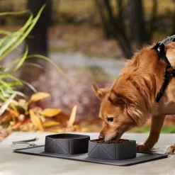 Frisco Travel Silicone Dog & Cat Travel Double Diner Bowl -Frisco Shop 363405 PT2. AC SS1800 V1664558631