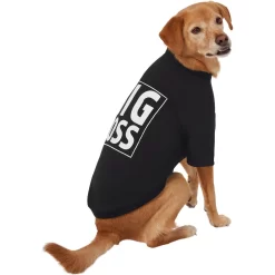 Frisco Big Boss Dog & Cat T-Shirt -Frisco Shop 368782 PT4. AC SS1800 V1669100910