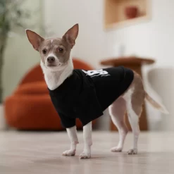 Frisco Big Boss Dog & Cat T-Shirt -Frisco Shop 368782 PT7. AC SS1800 V1664992675