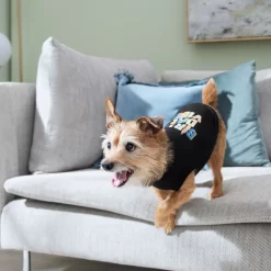 Frisco Birthday Vibe Dog & Cat T-Shirt -Frisco Shop 368790 PT7. AC SS1800 V1664994272